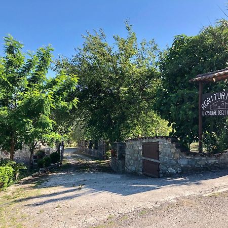 Vila Il Casolare Degli Alburni Castelcivita Exteriér fotografie